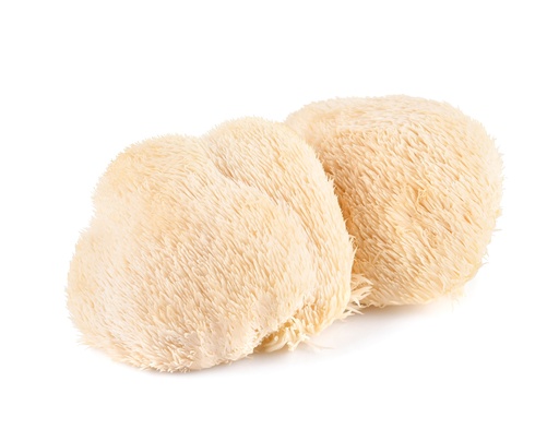 Powdered Lion's Mane (30g)